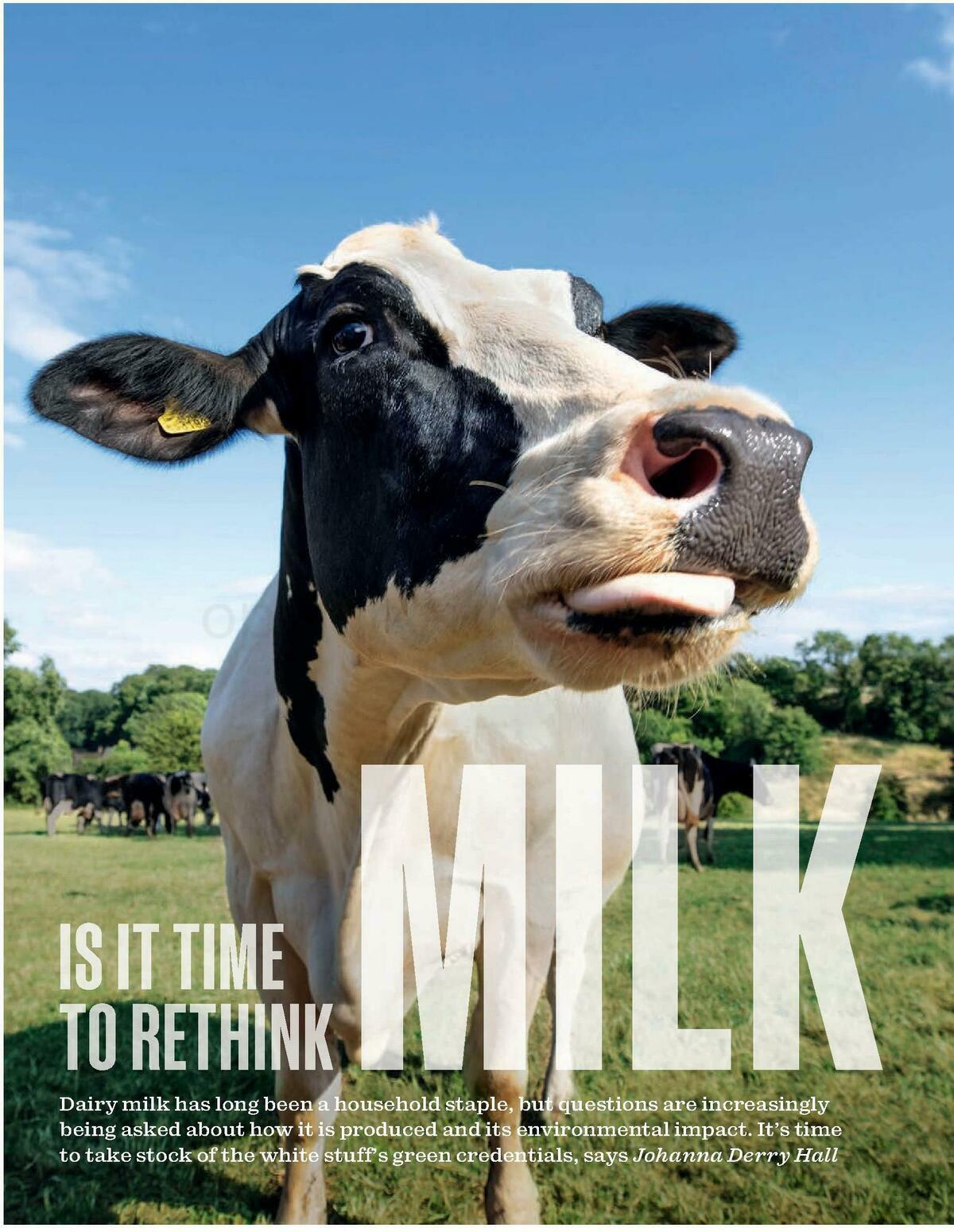 Waitrose Food Magazine May Offers from 1 May