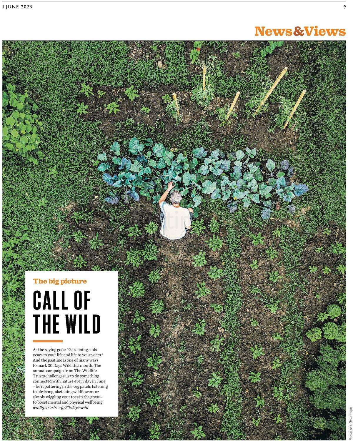 Waitrose Offers from 1 June