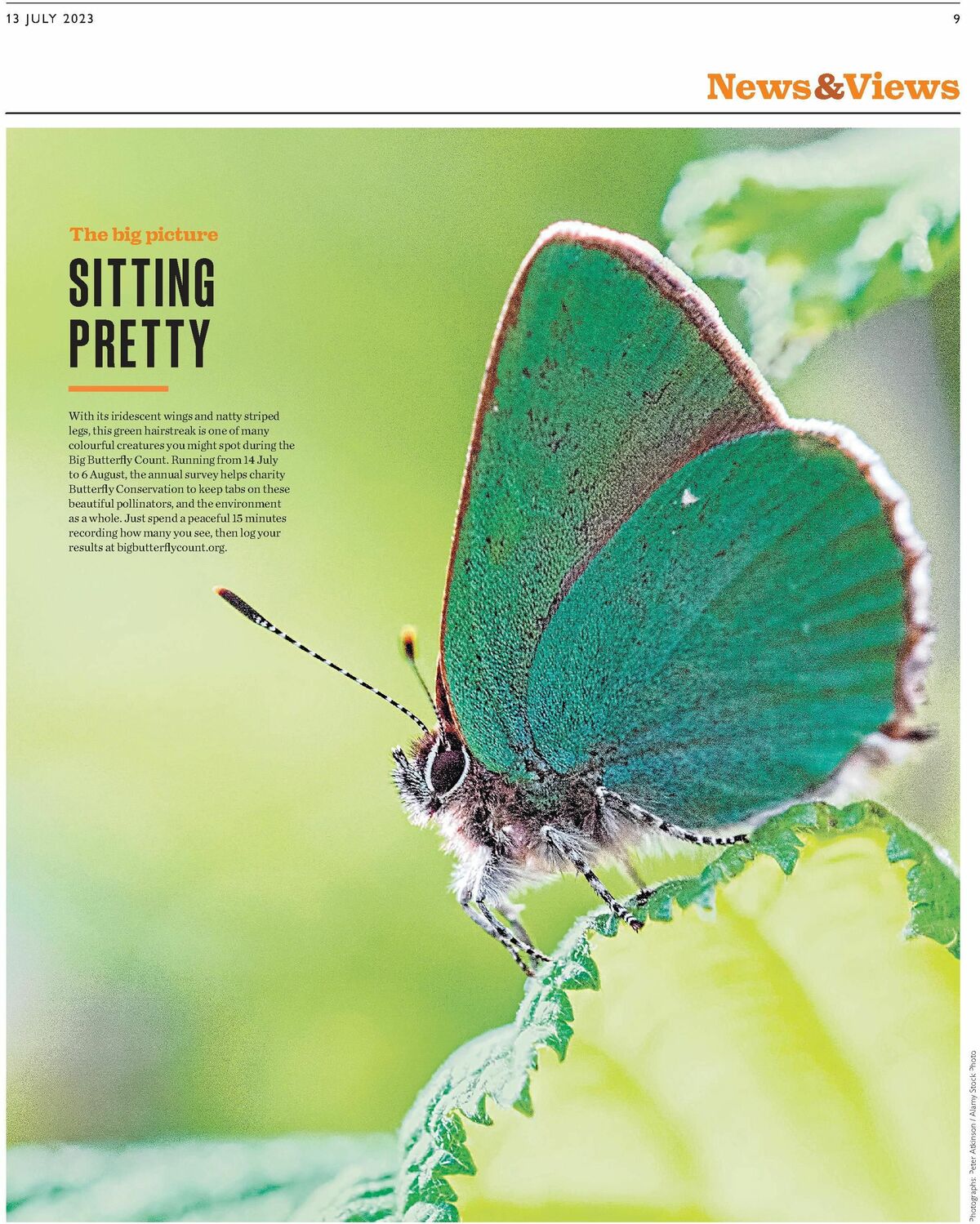 Waitrose Offers from 13 July