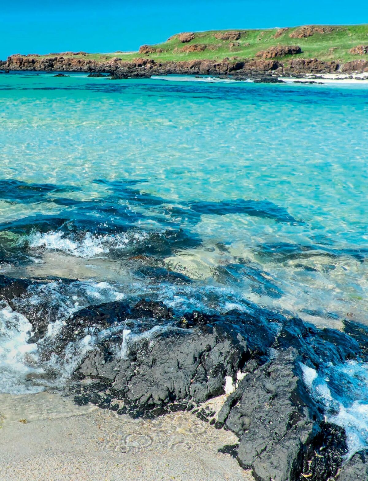 Waitrose Food Magazine August Offers from 1 August