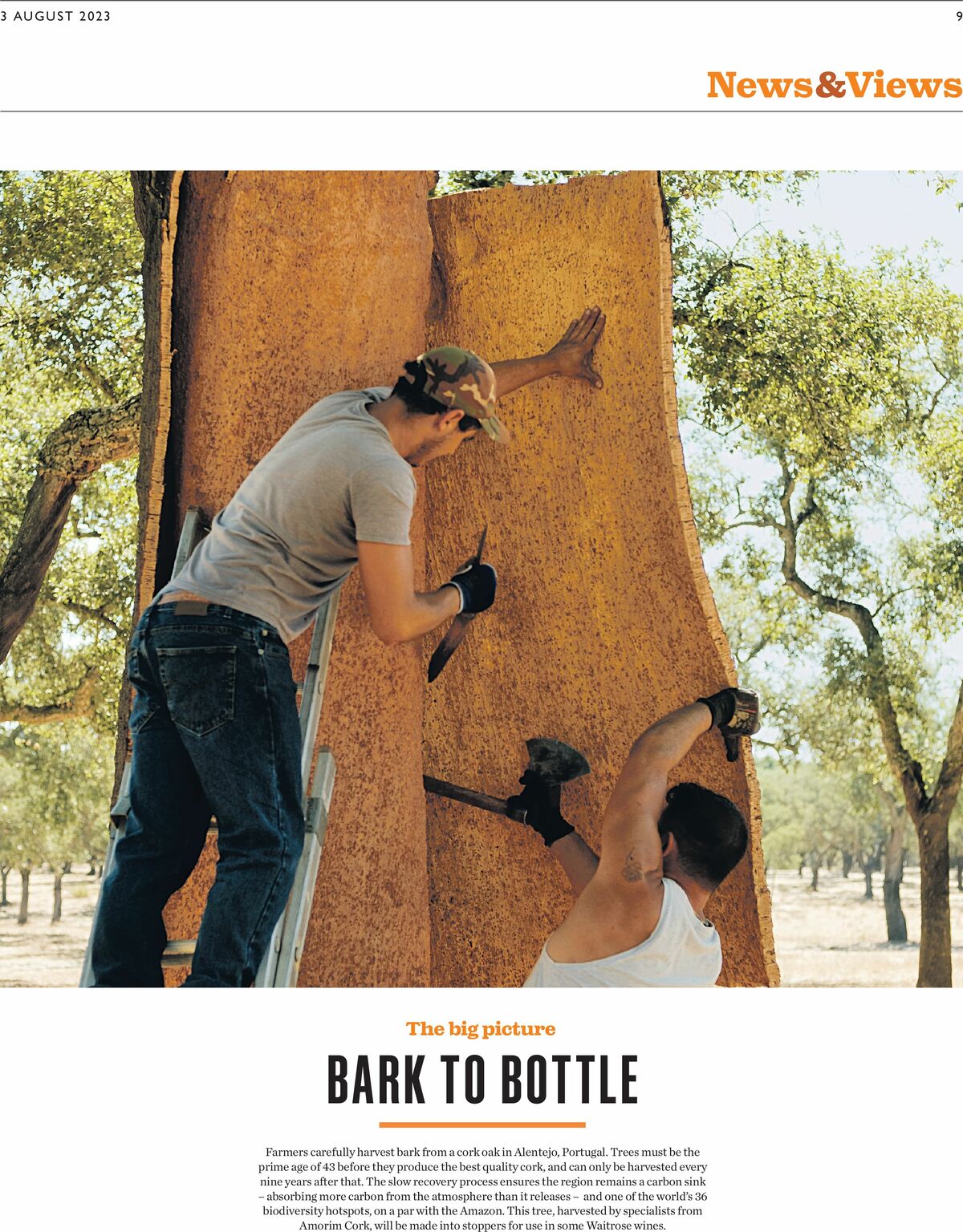 Waitrose Offers from 10 August