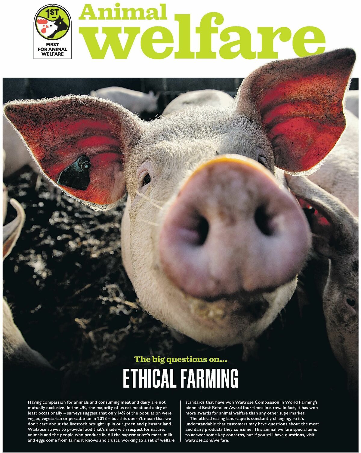 Waitrose Offers from 14 September