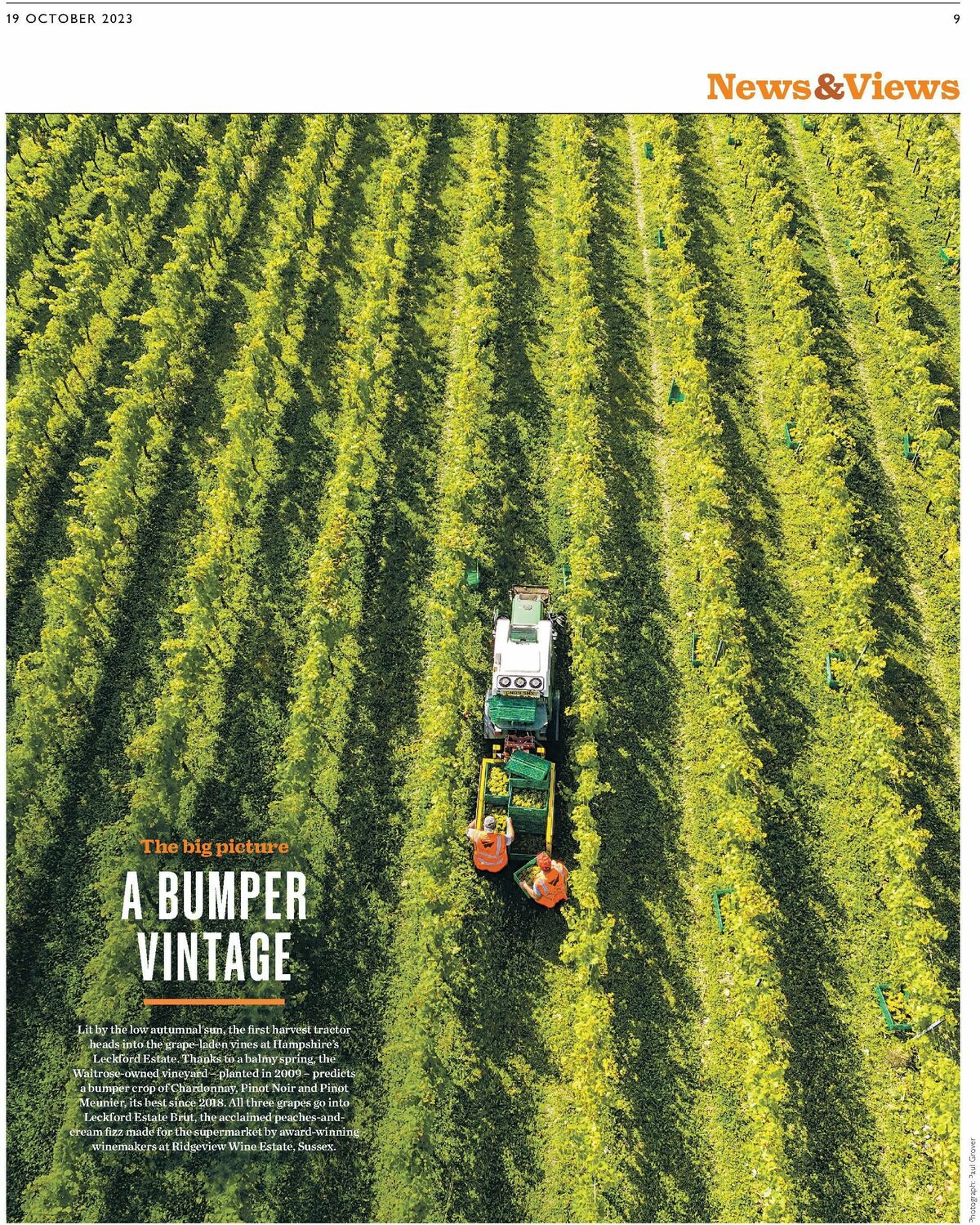 Waitrose Offers from 19 October