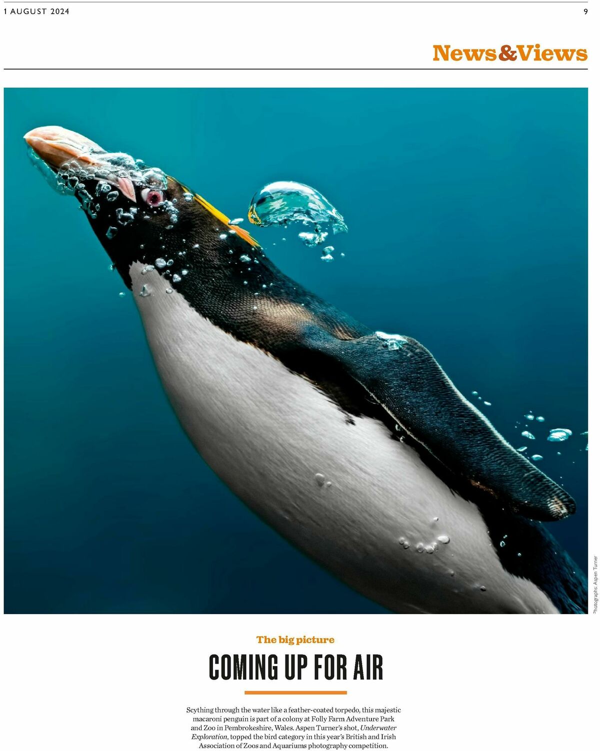 Waitrose Offers from 1 August