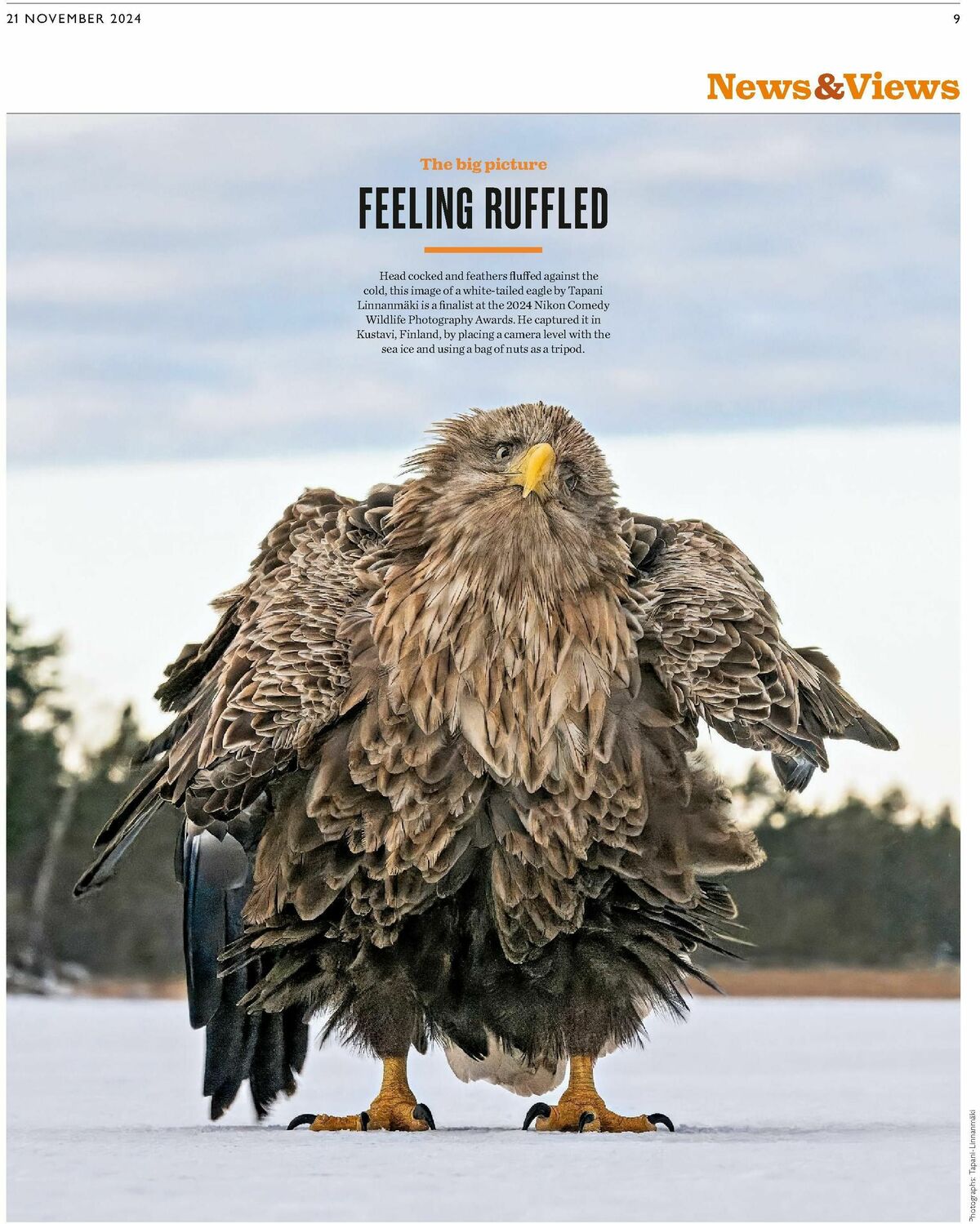 Waitrose Offers from 21 November