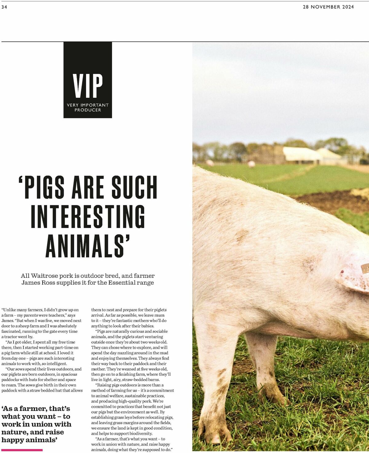 Waitrose Offers from 28 November