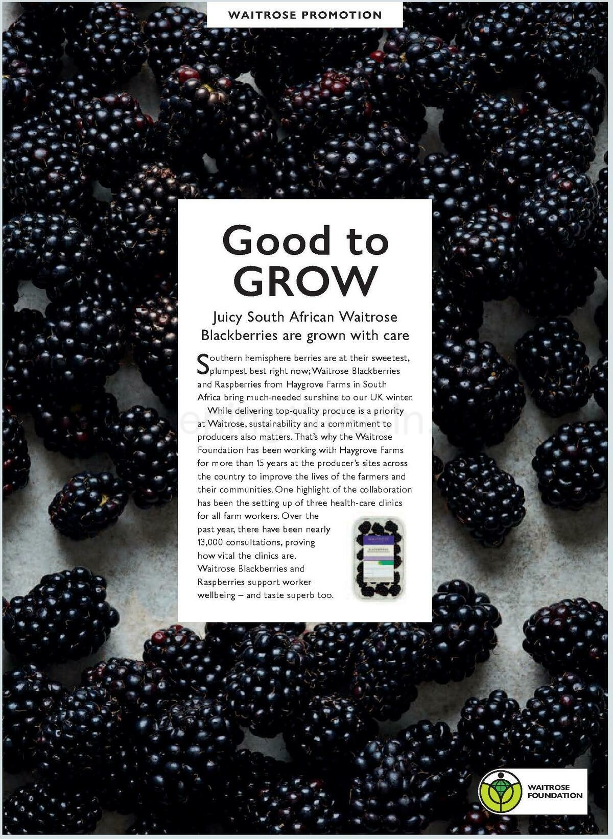 Waitrose Magazine December Offers from 1 December