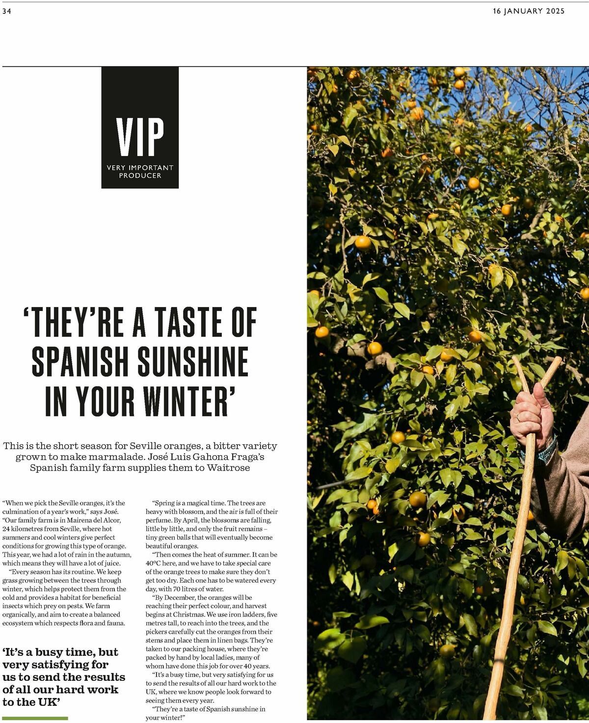 Waitrose Offers from 16 January