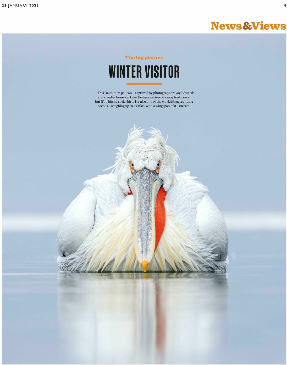 Waitrose Offers from 23 January