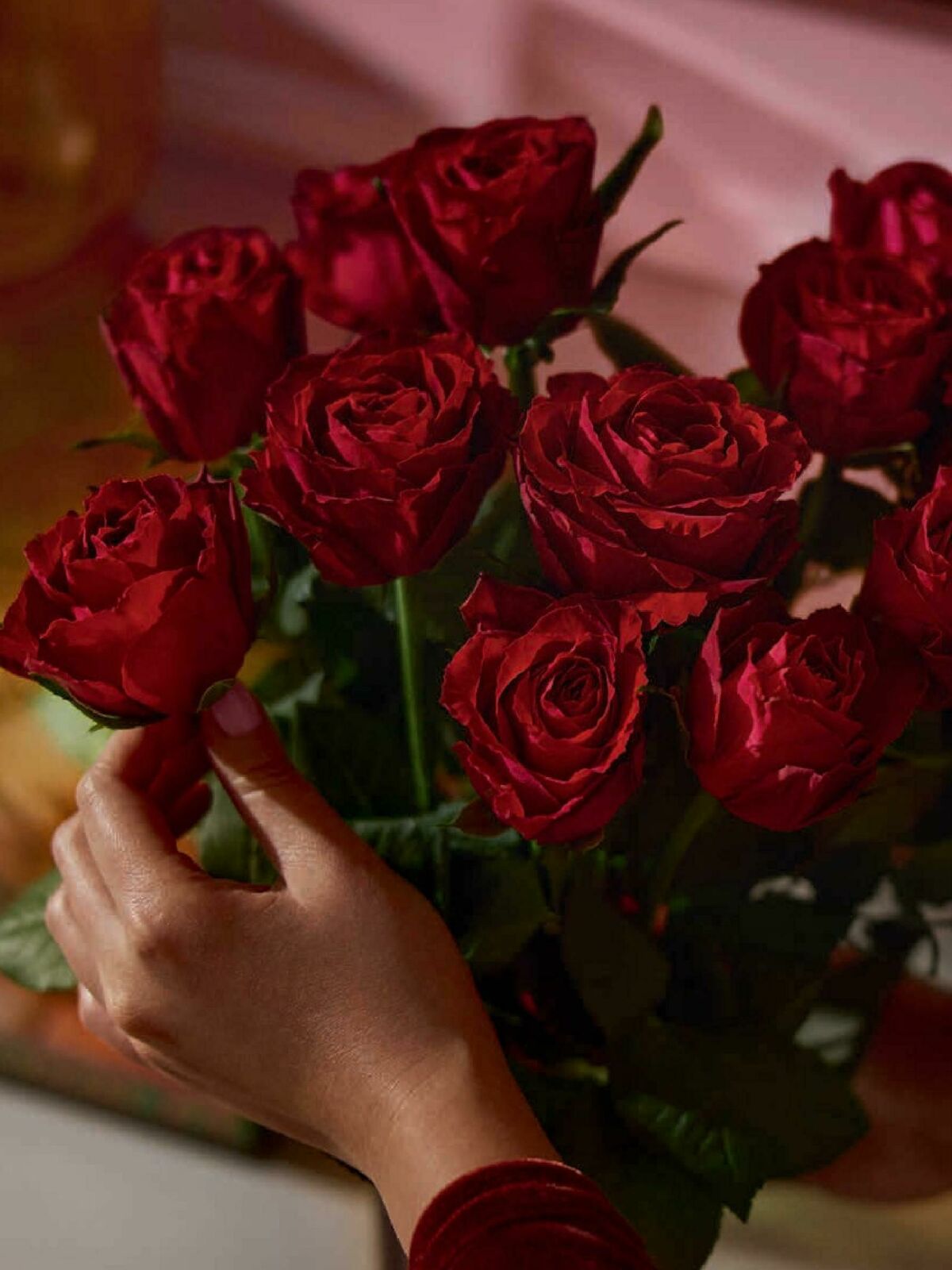 Waitrose Food Magazine February Offers from 1 February