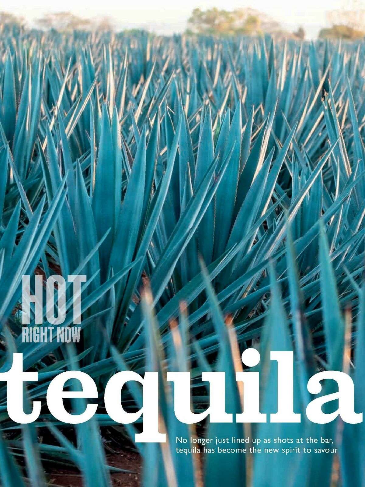 Waitrose Food Magazine February Offers from 1 February