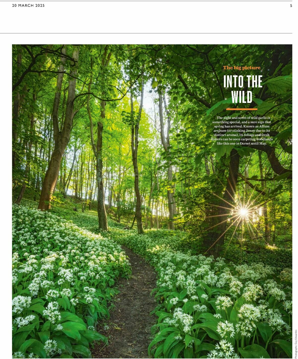 Waitrose Offers from 20 March