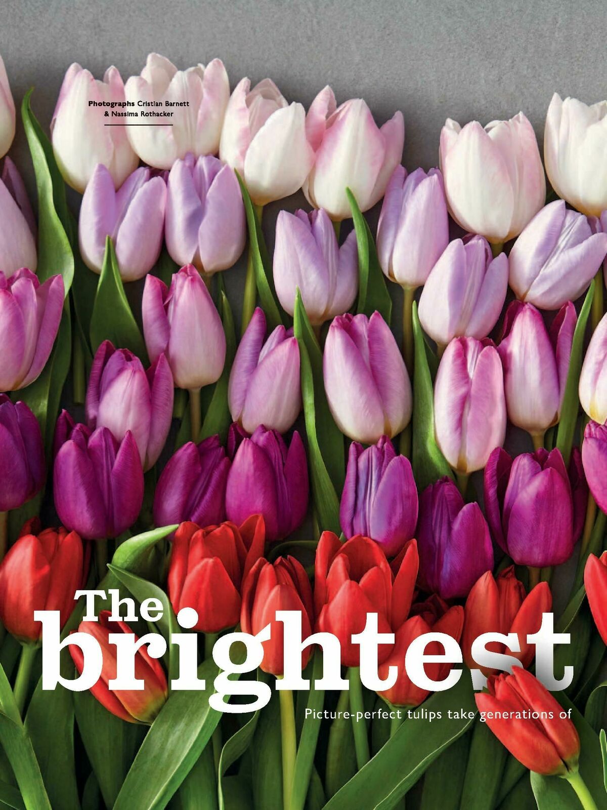 Waitrose Food Magazine April Offers from 1 April