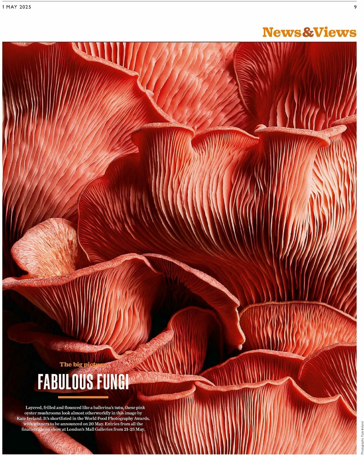 Waitrose Offers from 1 May