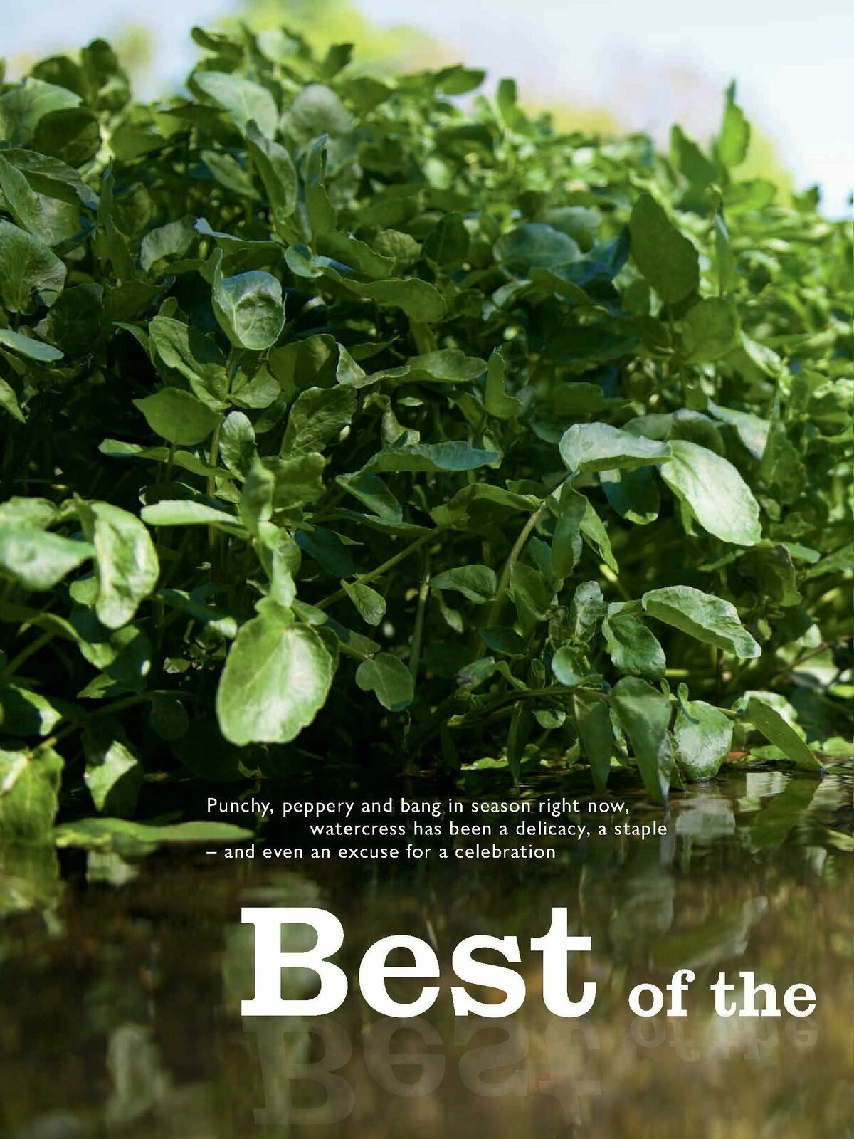 Waitrose Food Magazine May Offers from 1 May