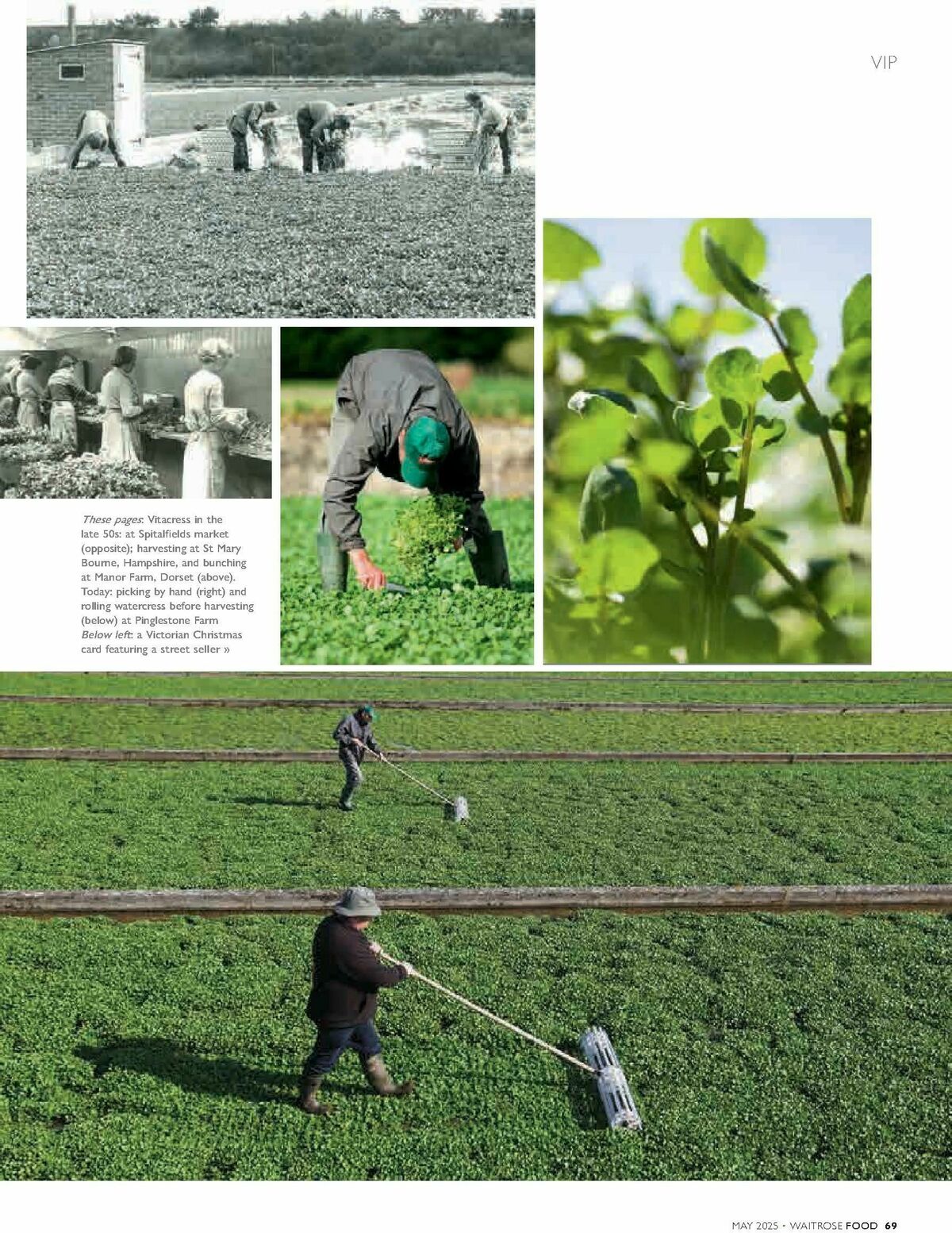 Waitrose Food Magazine May Offers from 1 May