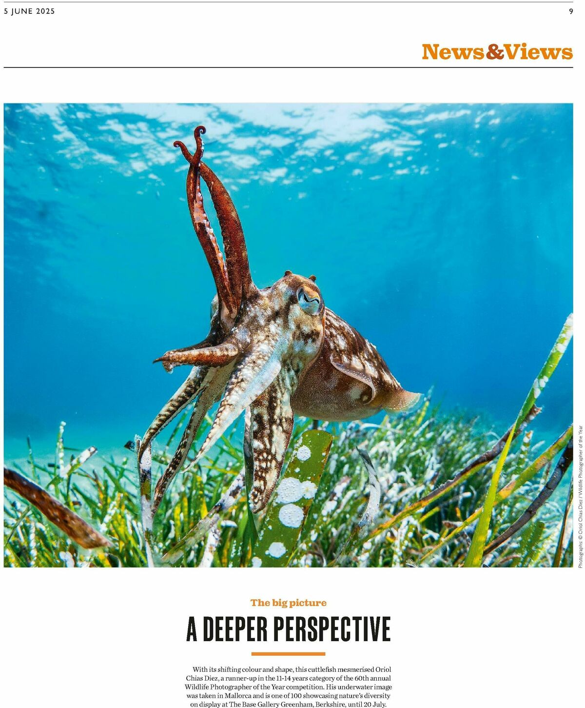 Waitrose Offers from 5 June