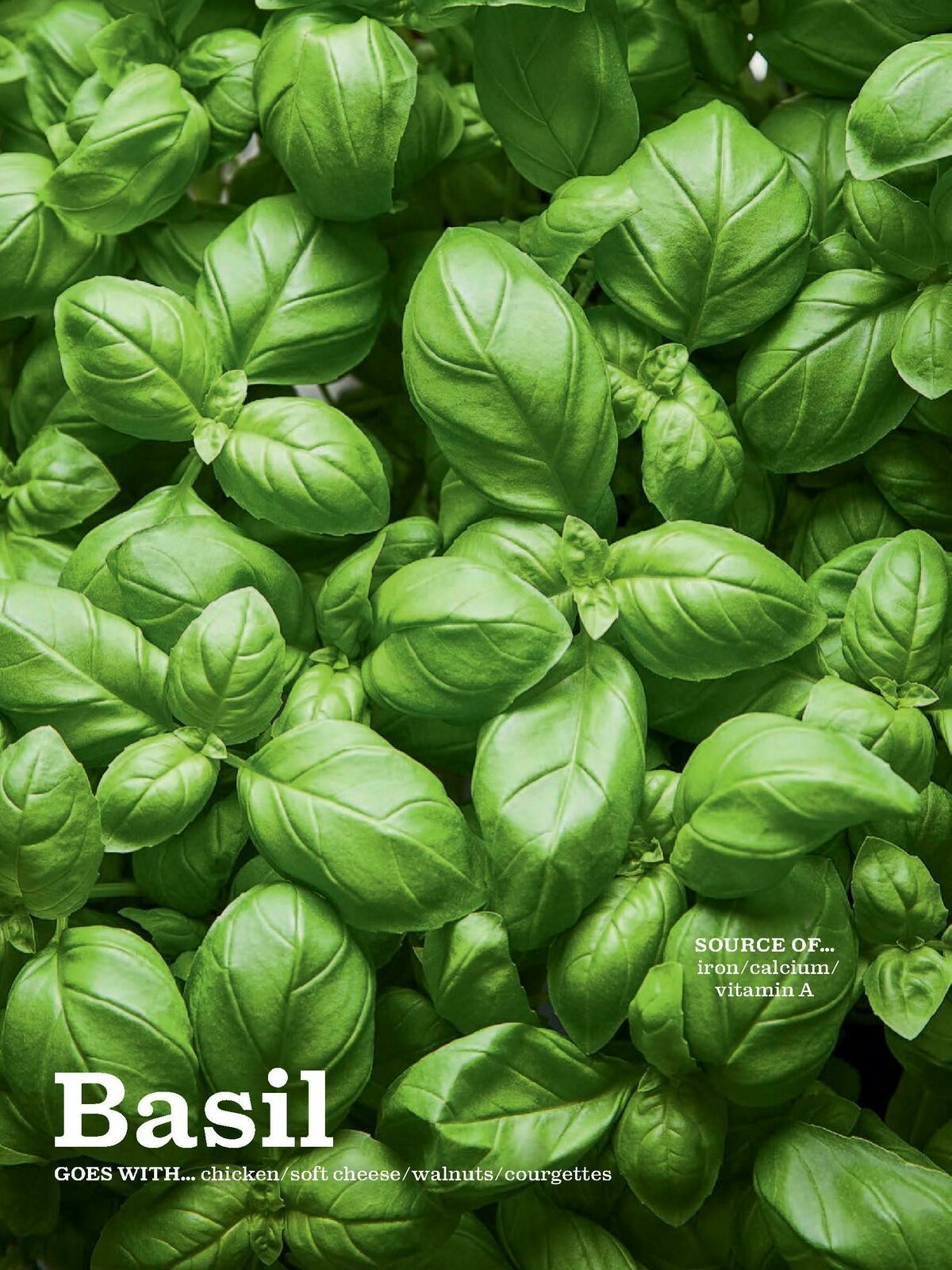 Waitrose Food Magazine June Offers from 1 June
