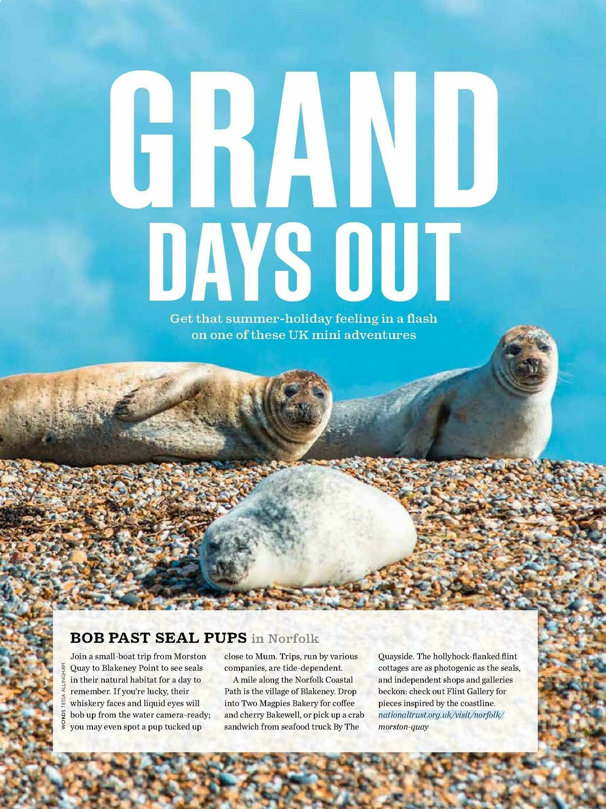 Waitrose Magazine July Offers from 1 July