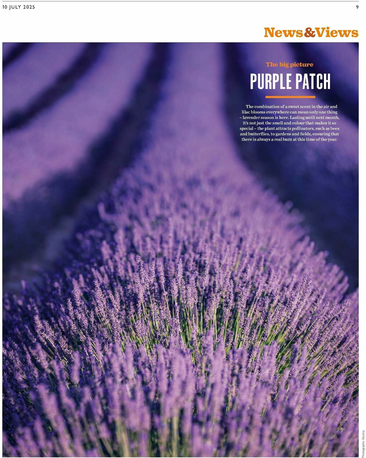 Waitrose Offers from 10 July