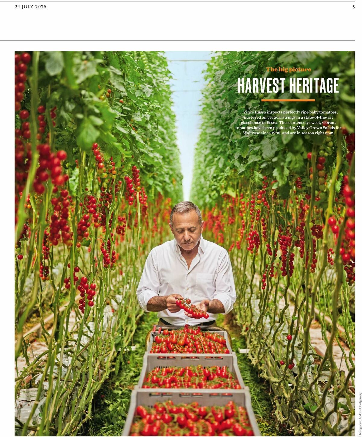 Waitrose Offers from 24 July