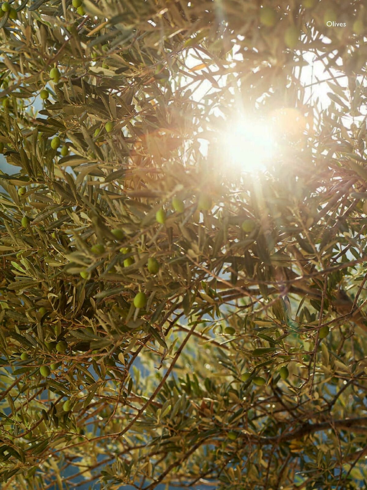 Waitrose Food Magazine August Offers from 1 August