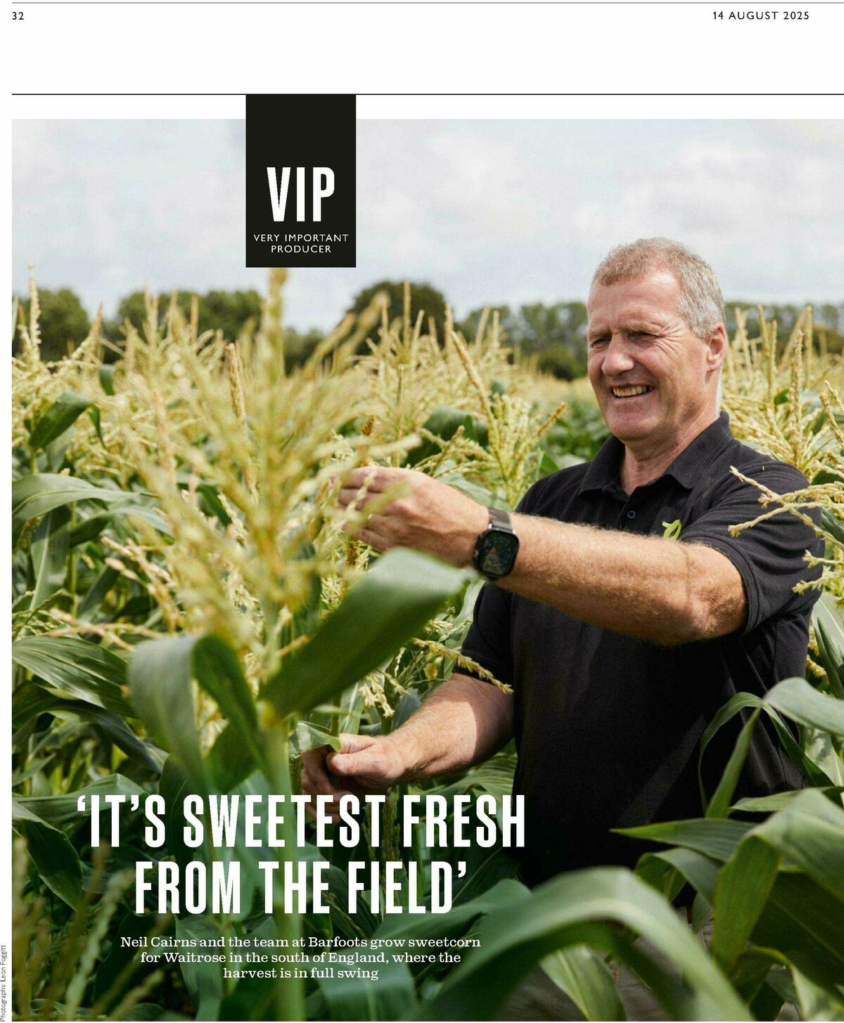 Waitrose Offers from 14 August