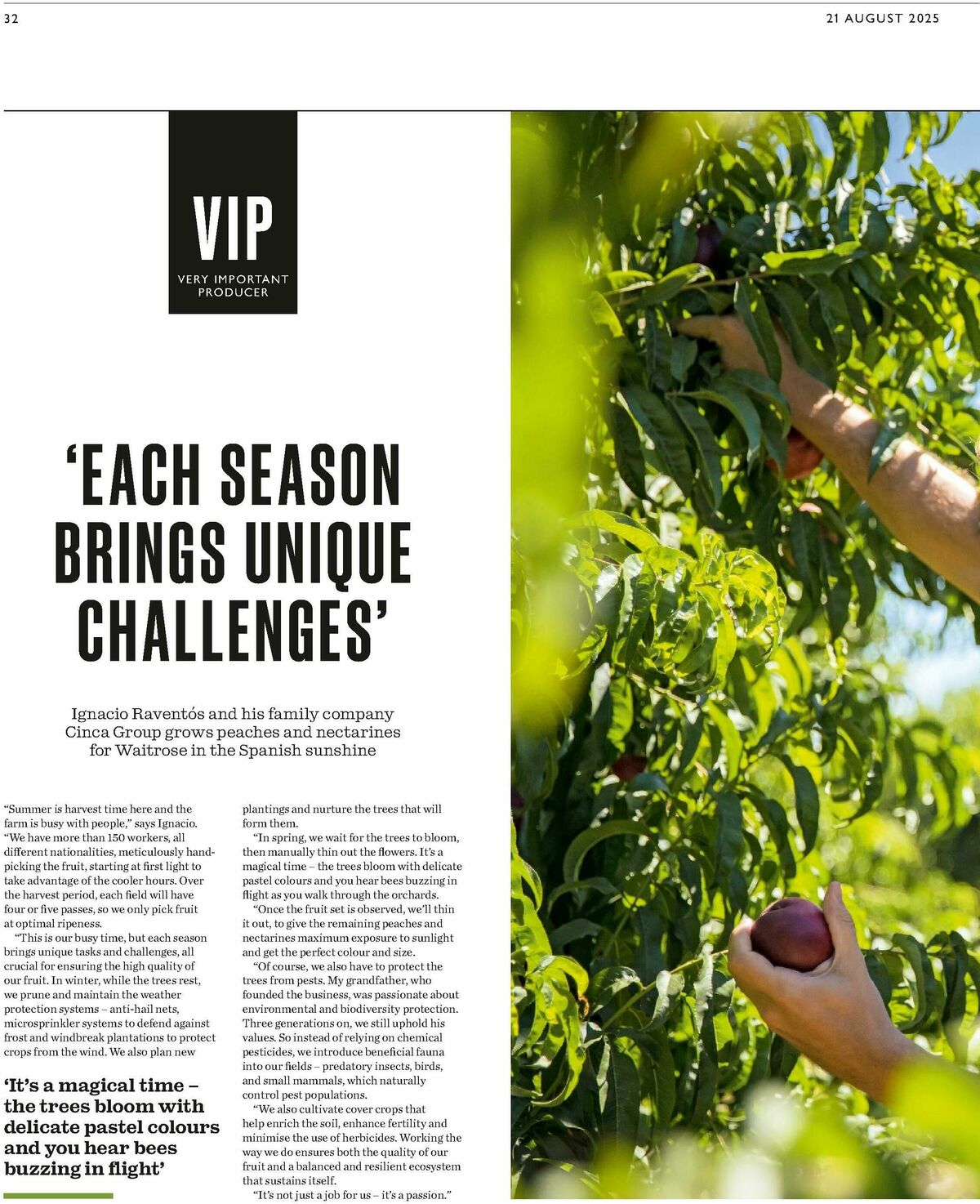 Waitrose Offers from 21 August