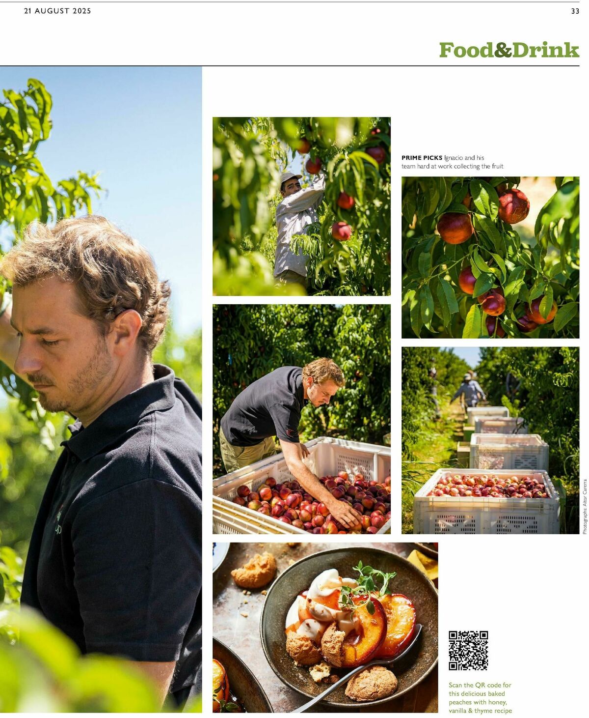 Waitrose Offers from 21 August