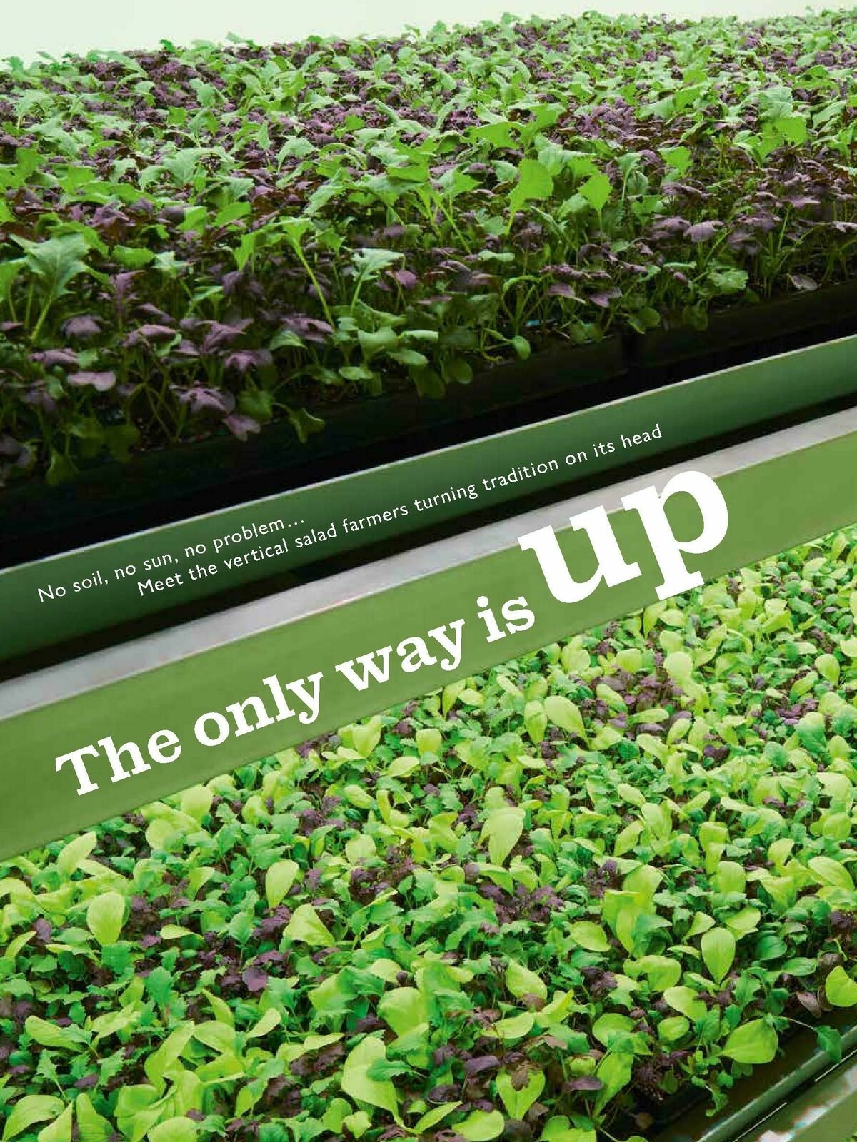 Waitrose Food Magazine September Offers from 1 September