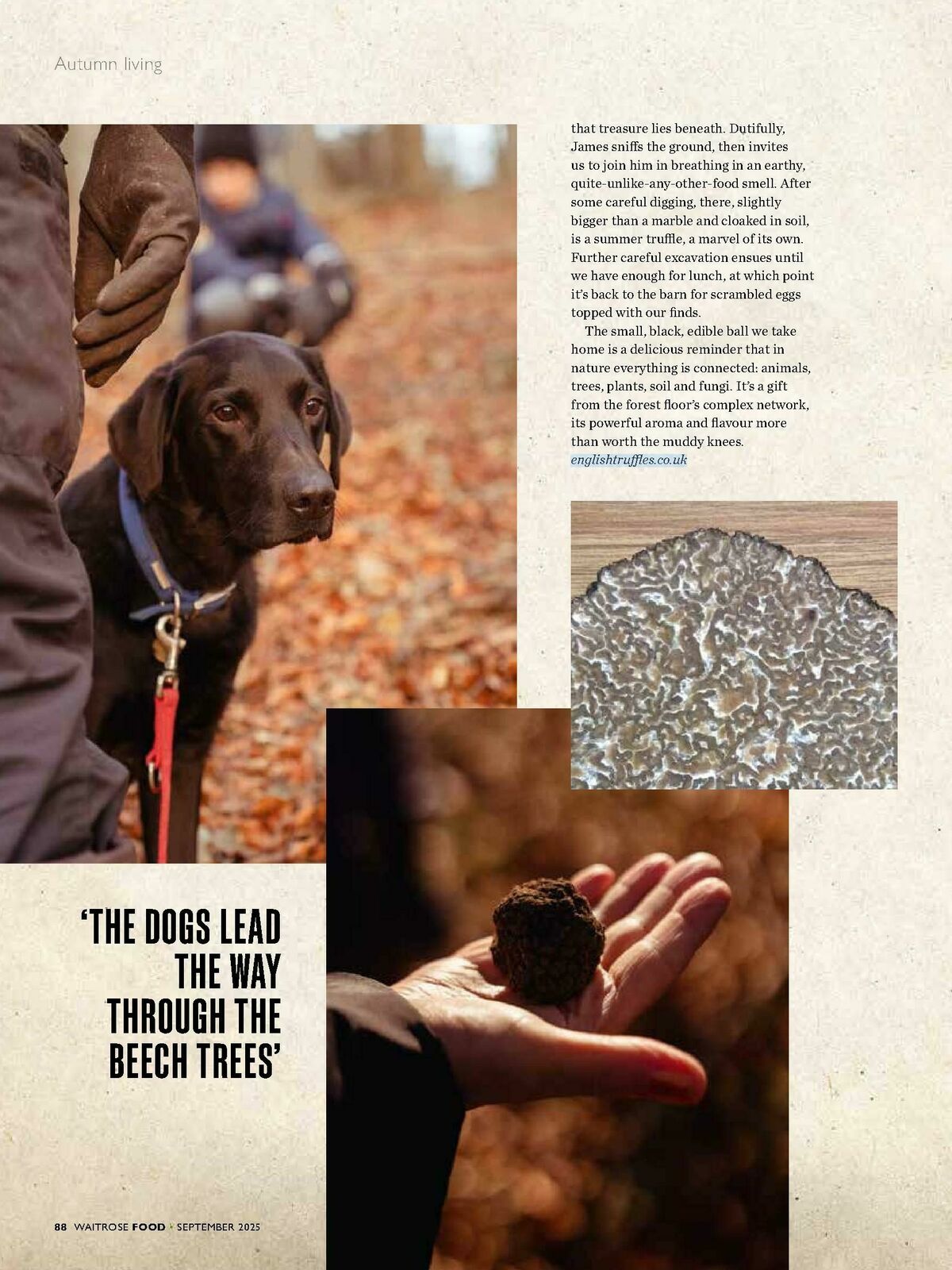 Waitrose Food Magazine September Offers from 1 September