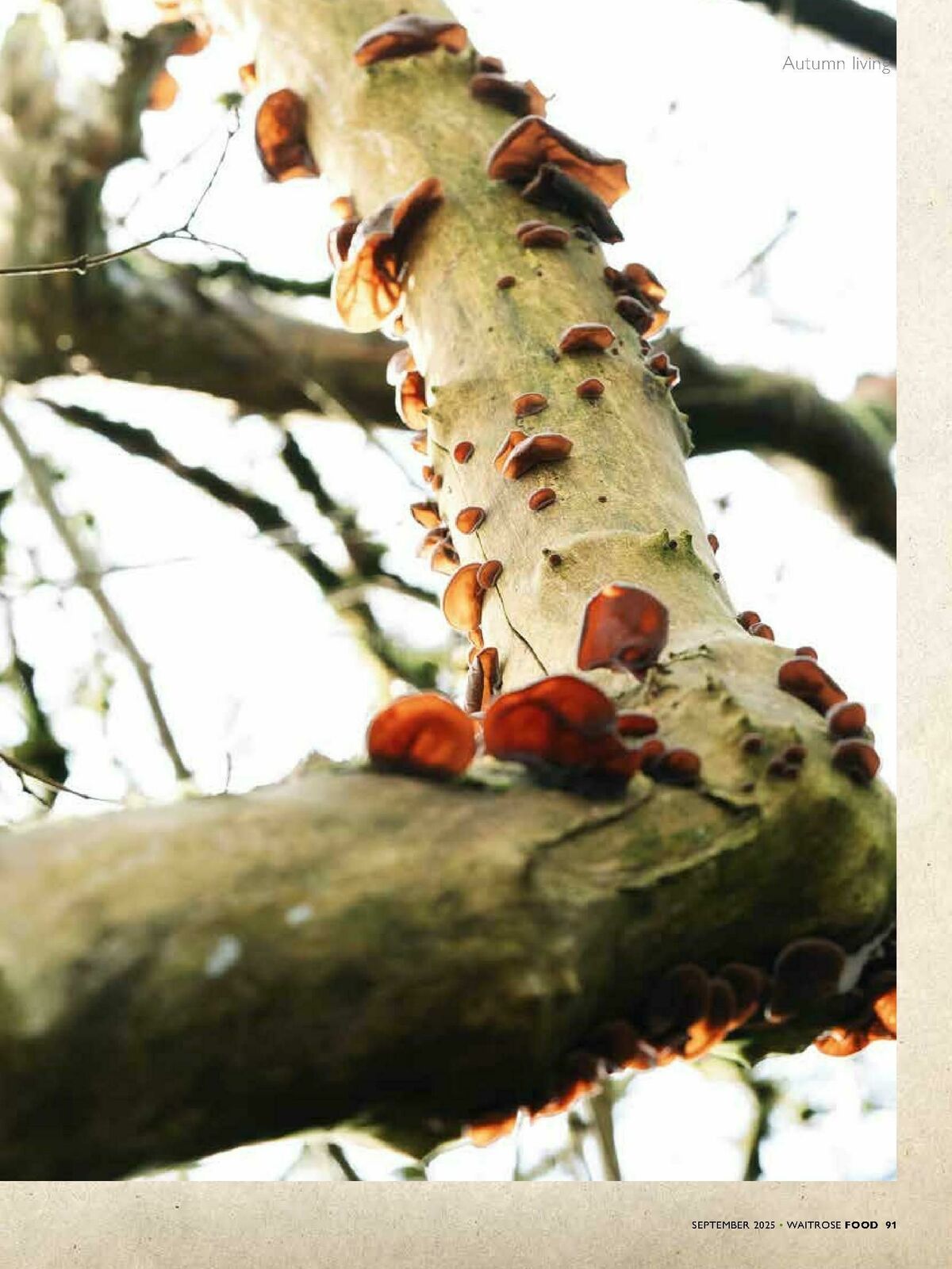 Waitrose Food Magazine September Offers from 1 September