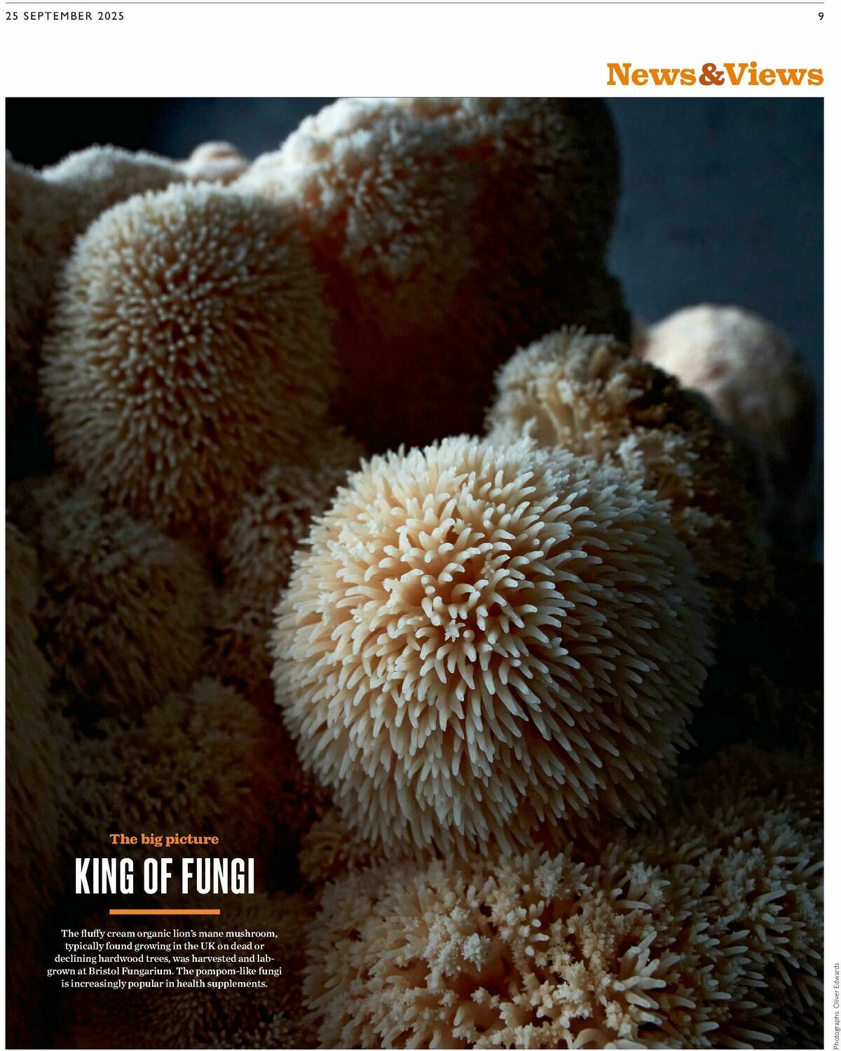 Waitrose Offers from 25 September