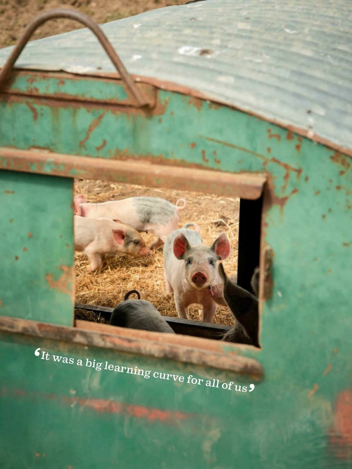 Waitrose Food Magazine October Offers from 1 October