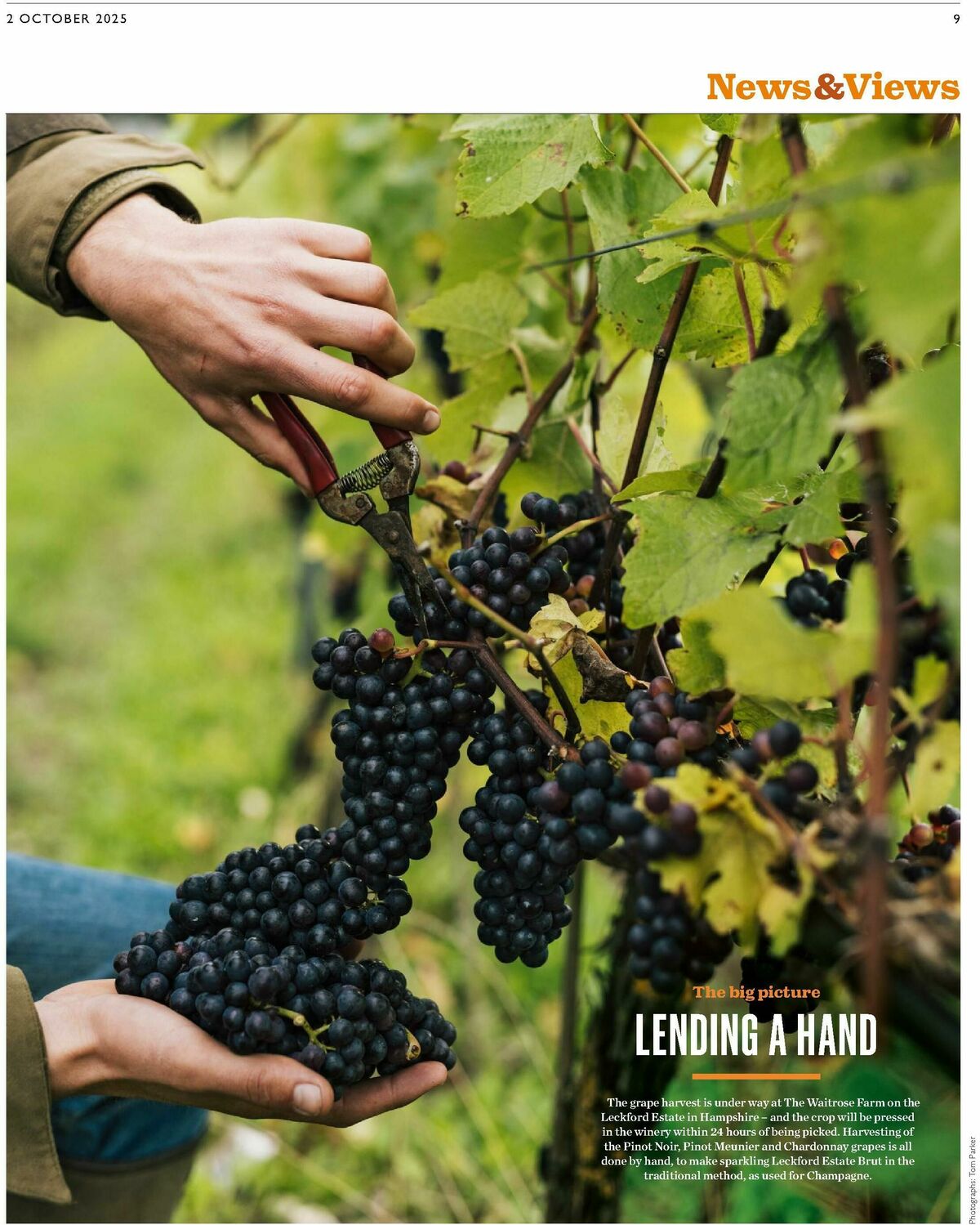 Waitrose Offers from 2 October