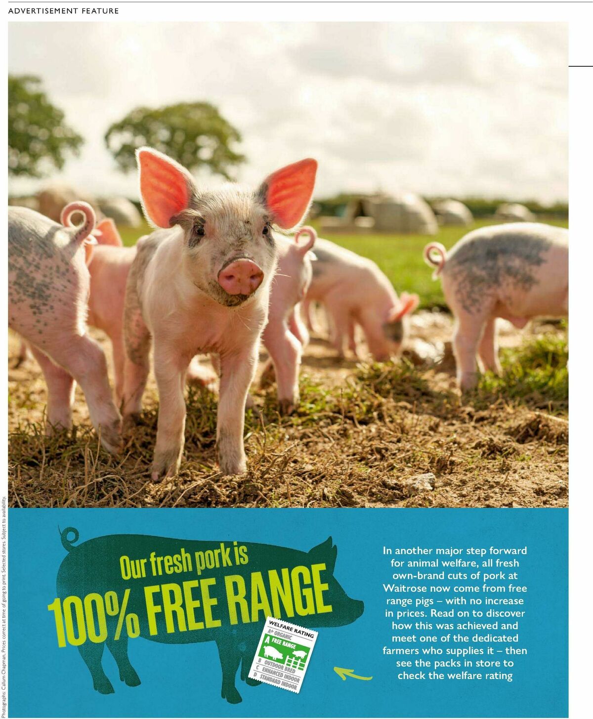 Waitrose Offers from 16 October