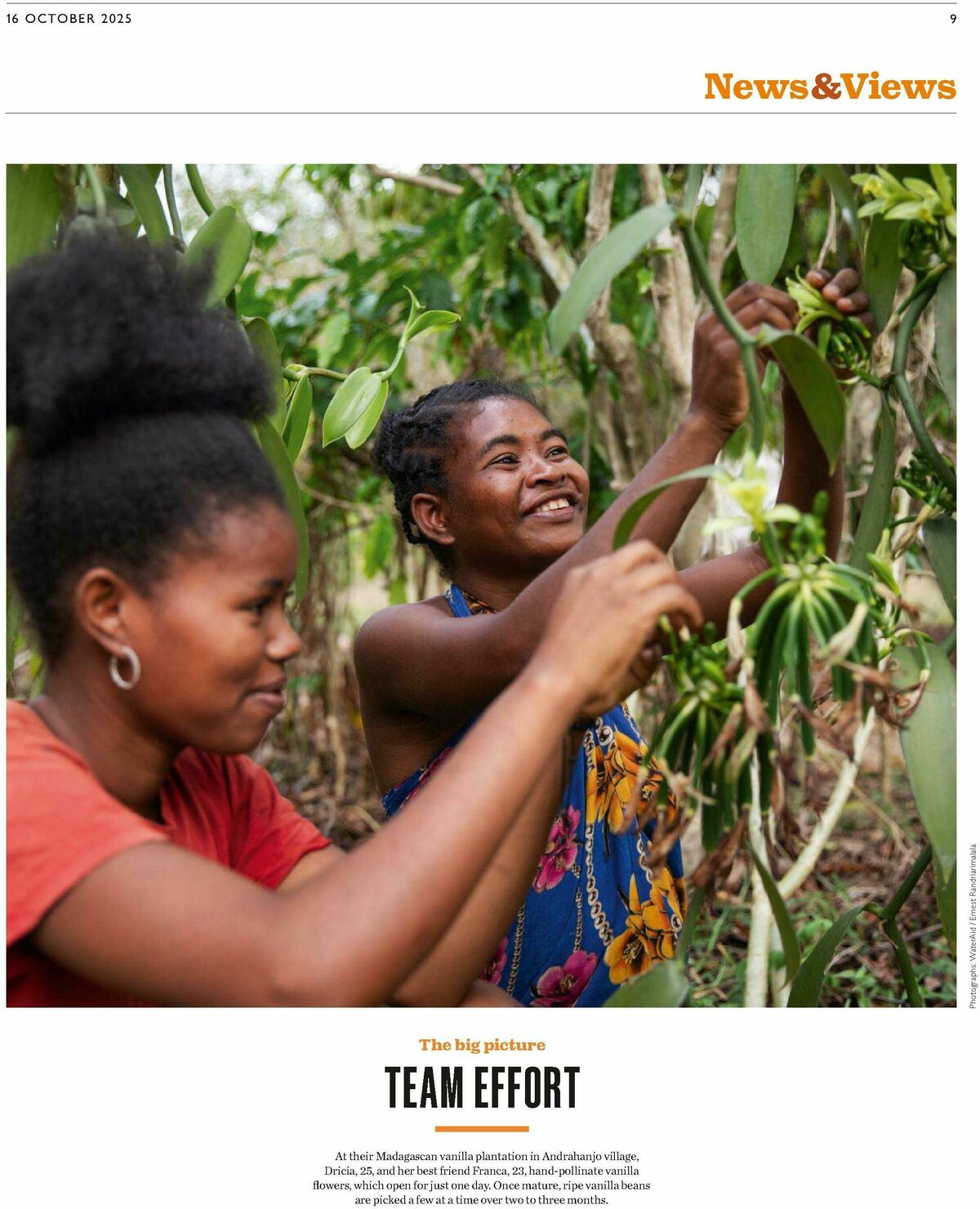 Waitrose Offers from 16 October