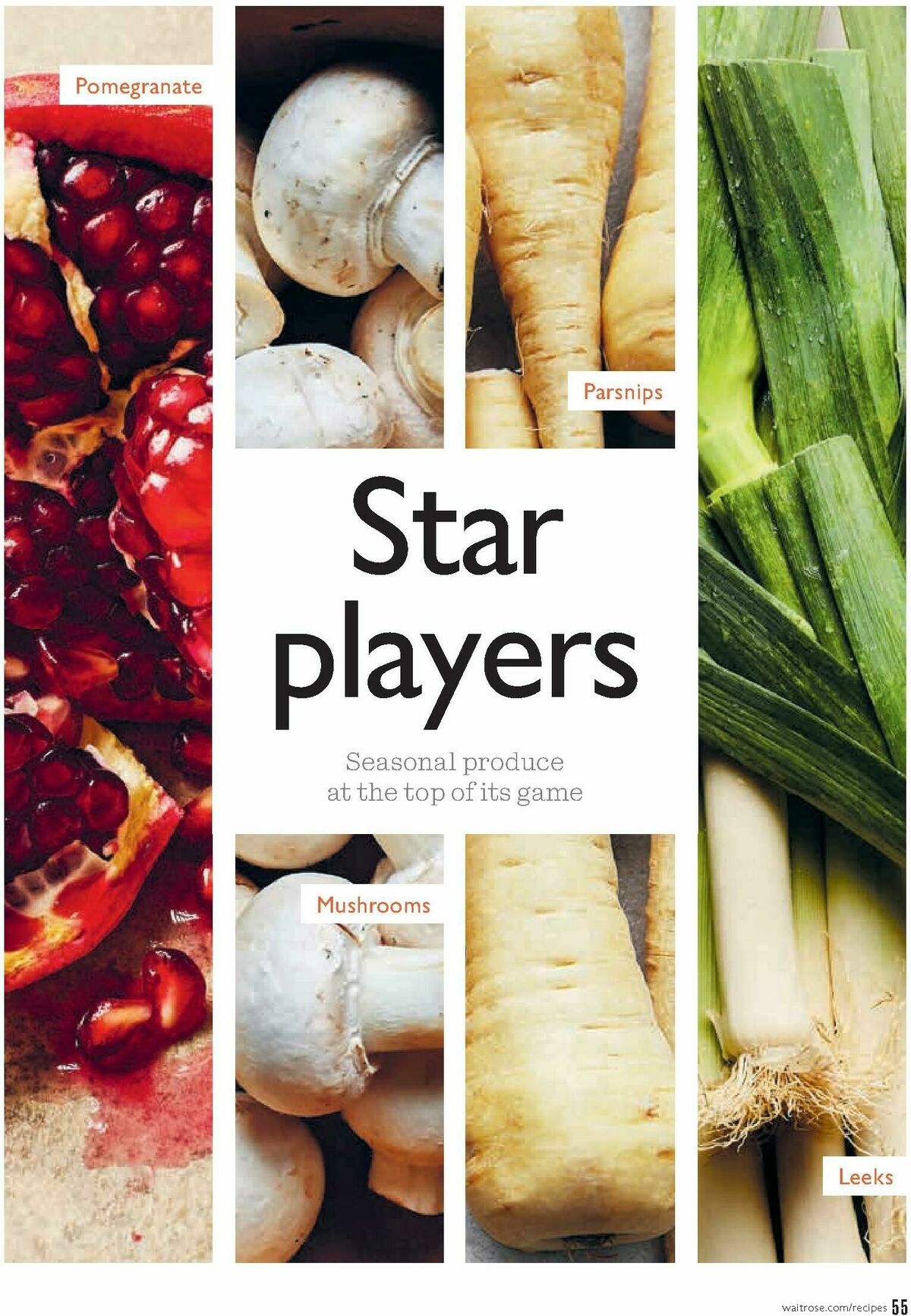 Waitrose Food Magazine November Offers from 1 November