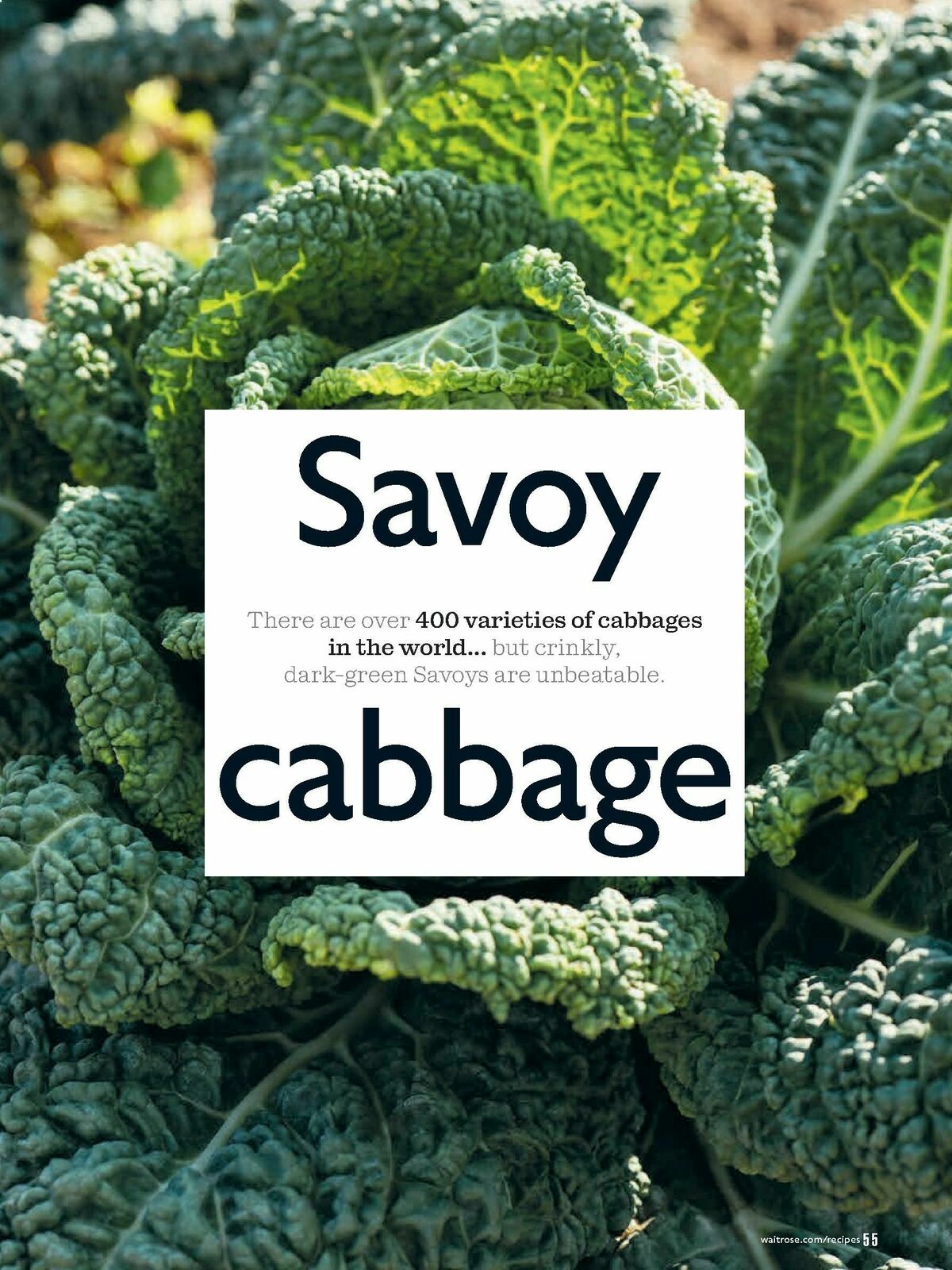 Waitrose Food Magazine January Offers from 1 January