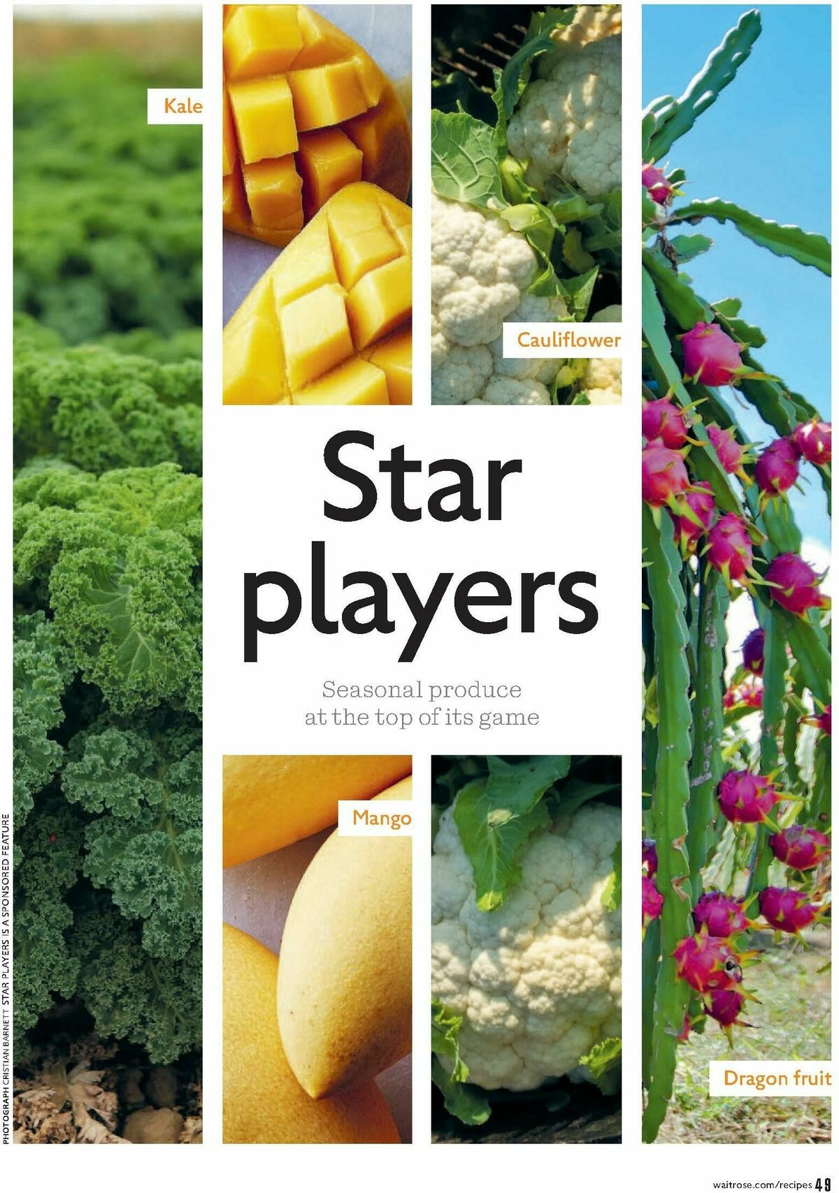 Waitrose Food Magazine February Offers from 1 February