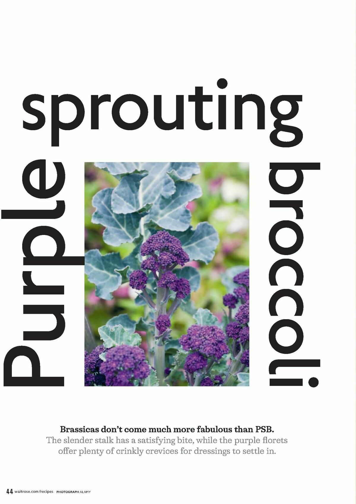 Waitrose Offers from 1 April