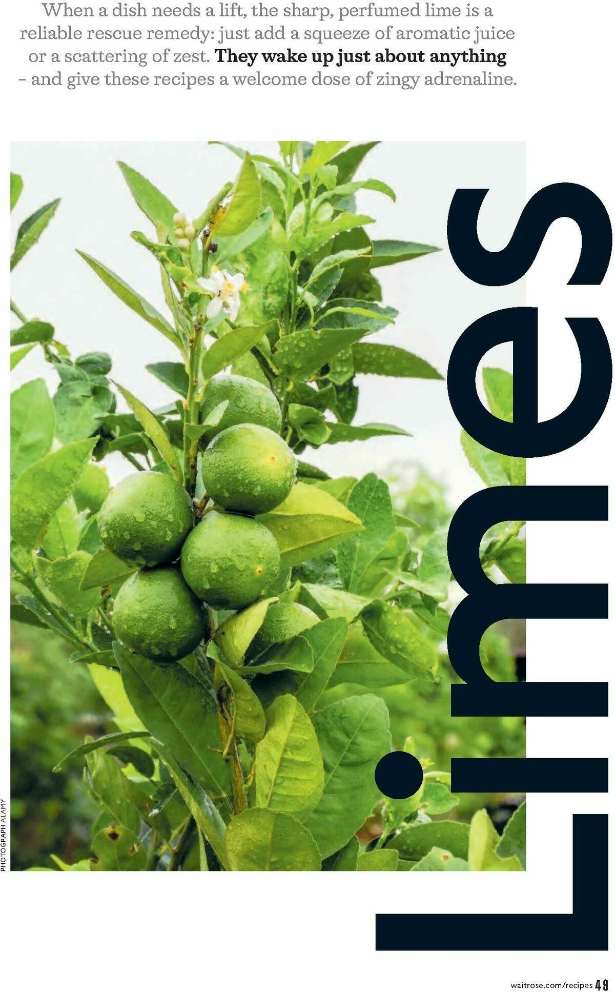 Waitrose Offers from 1 April