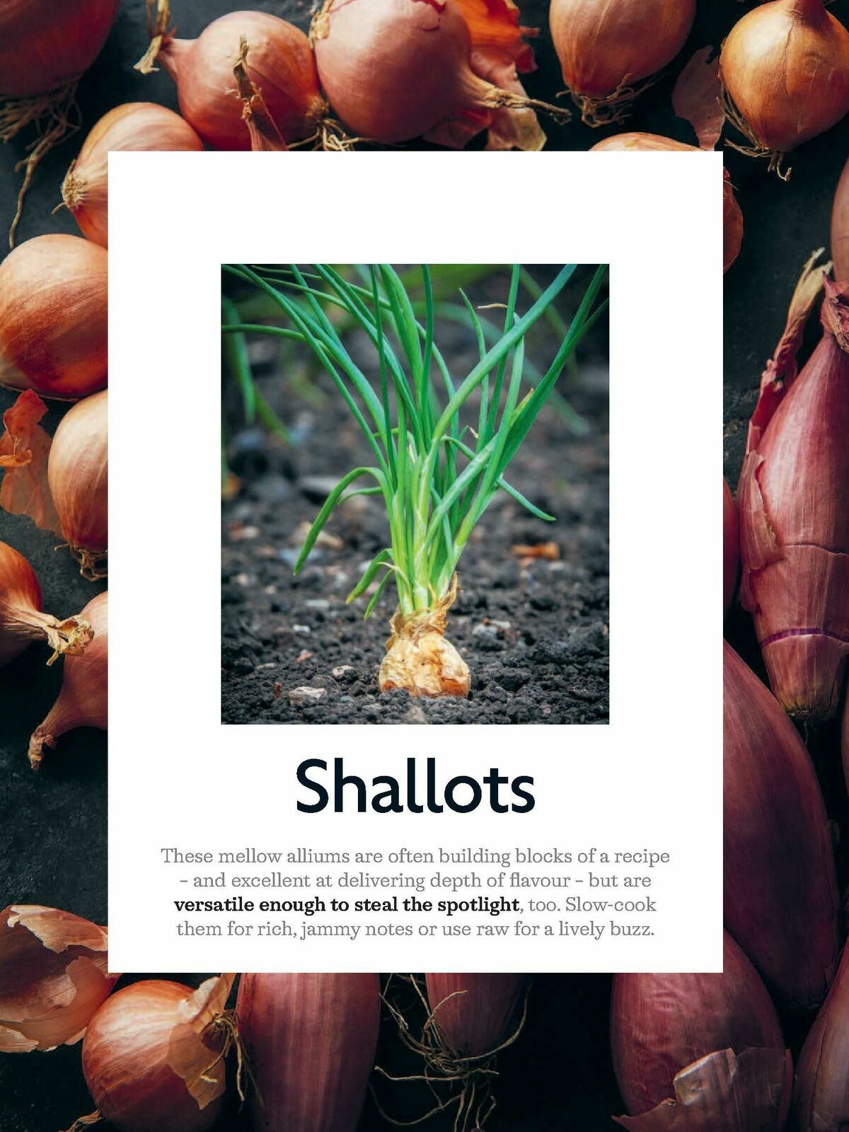 Waitrose Offers from 1 April