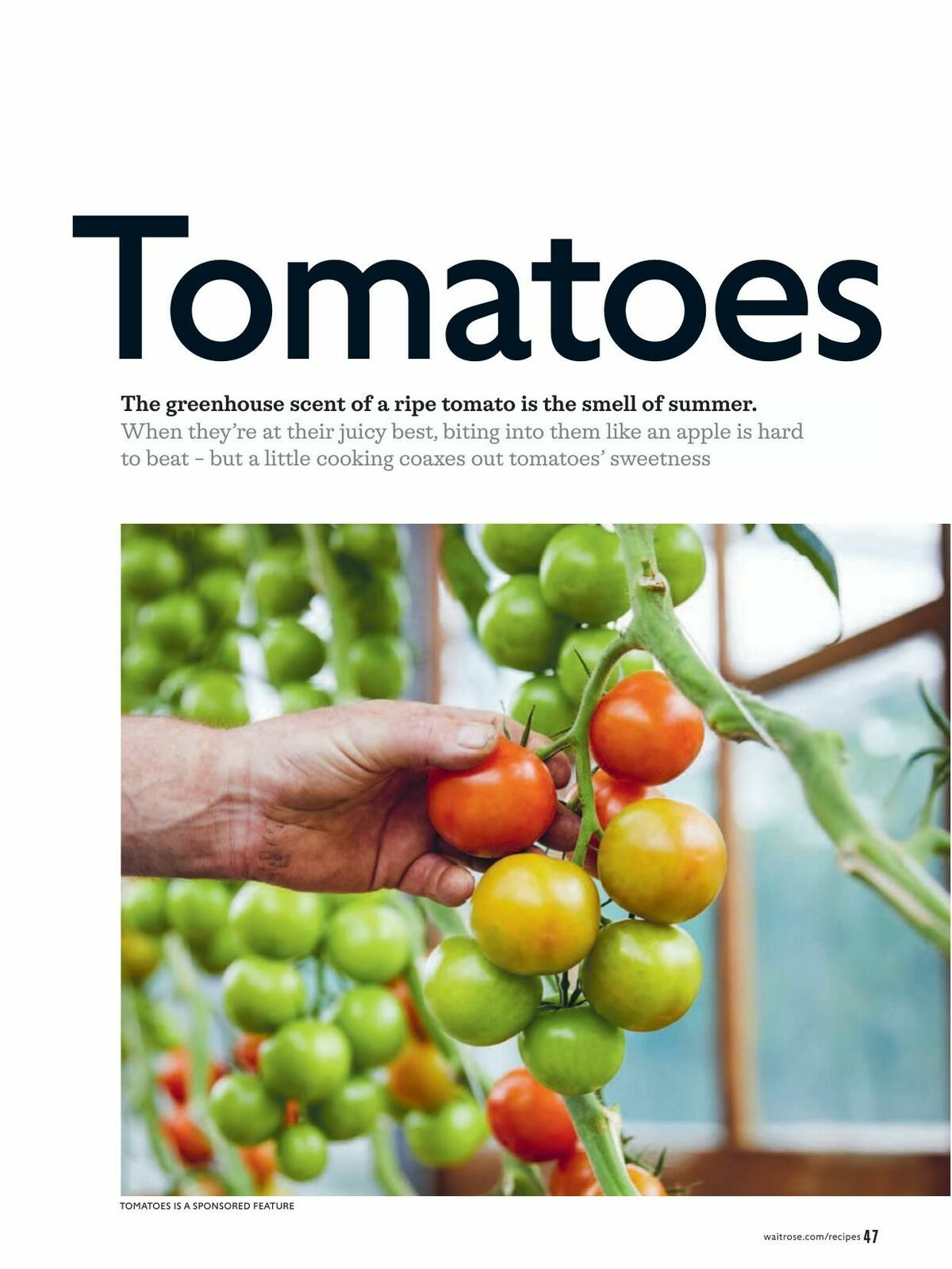 Waitrose Offers from 1 June