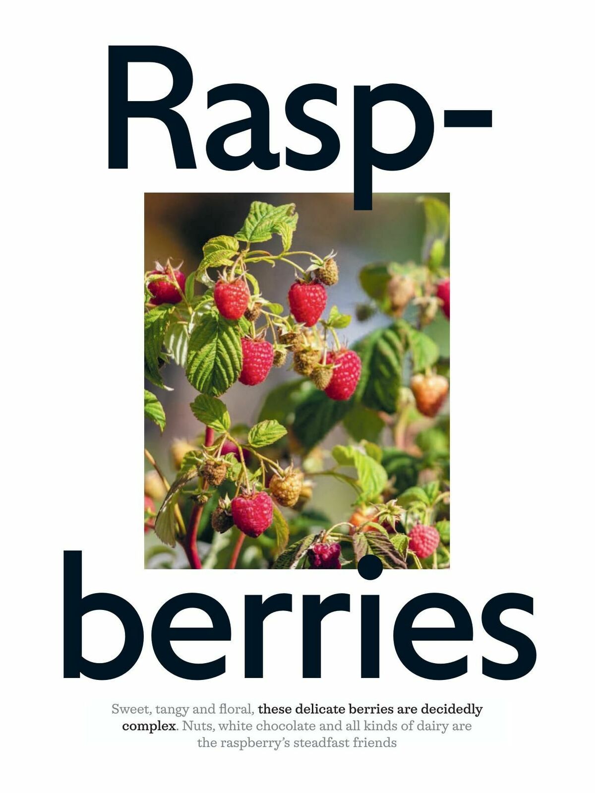 Waitrose Offers from 1 June