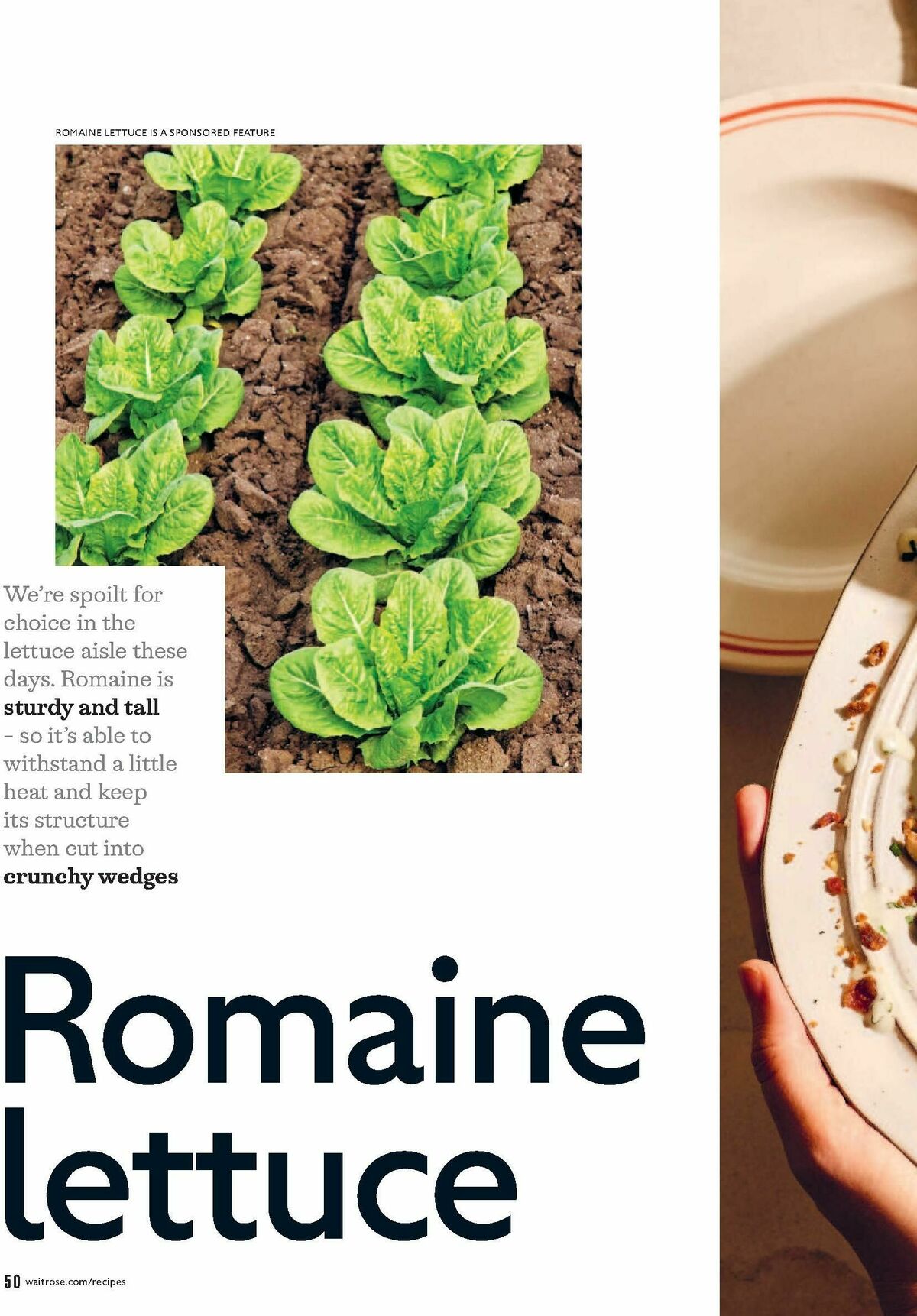 Waitrose Offers from 1 July