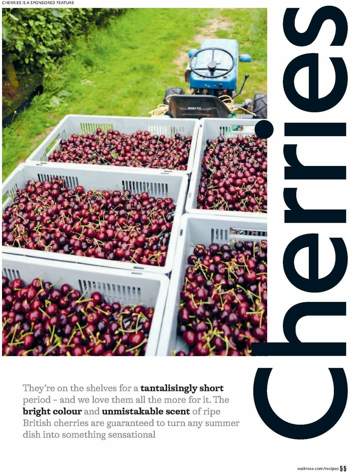 Waitrose Offers from 1 July