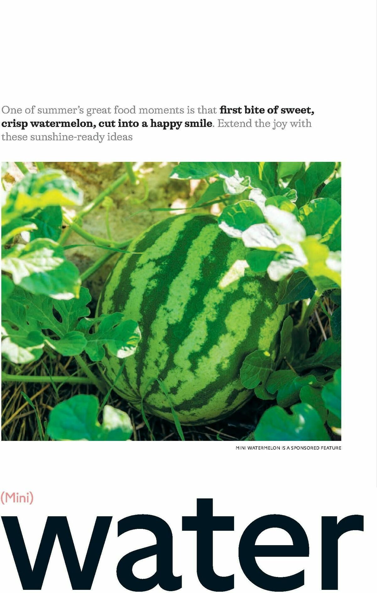 Waitrose Offers from 1 July