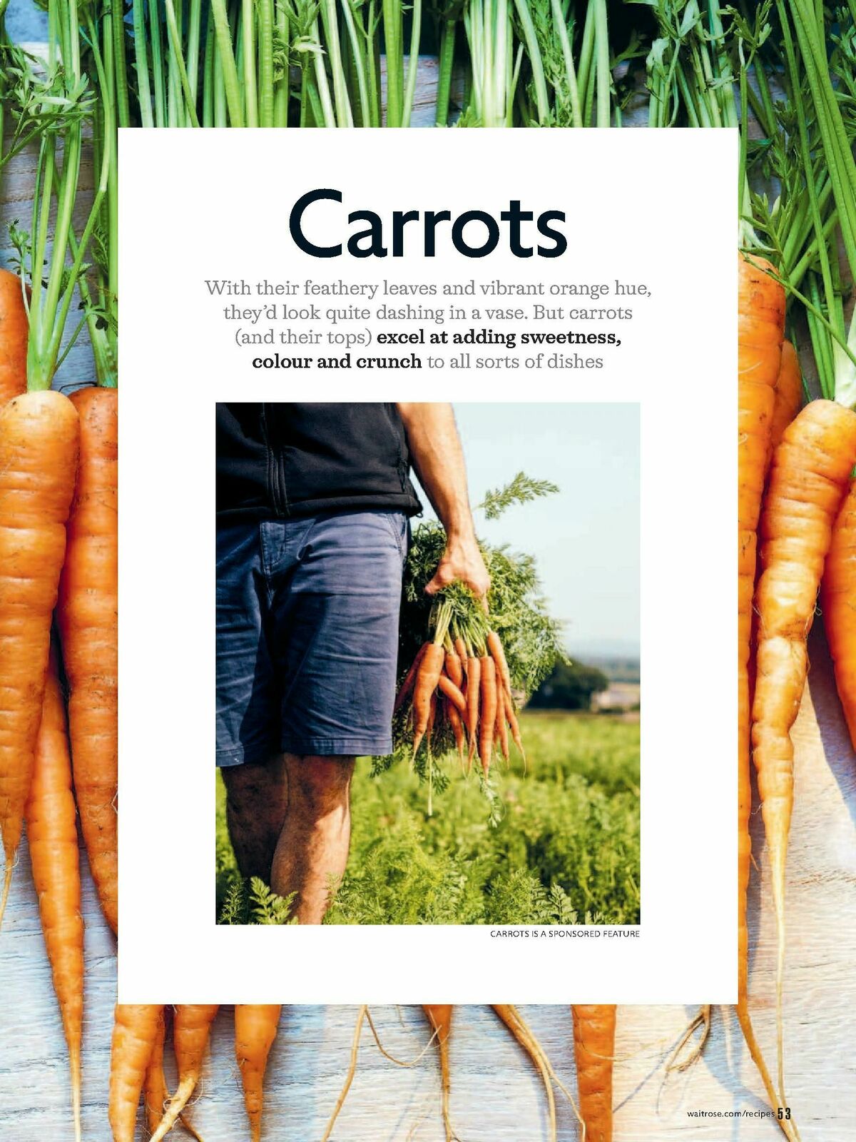 Waitrose Offers from 1 September
