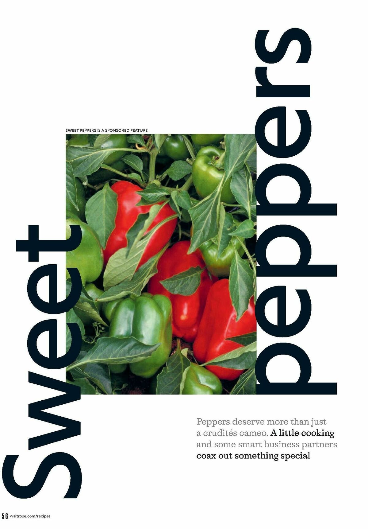 Waitrose Offers from 1 September